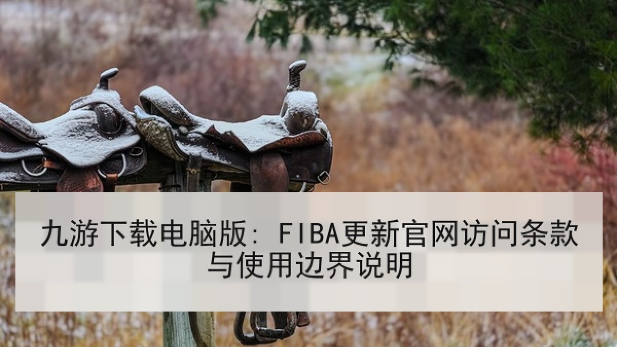 九游下载电脑版: FIBA更新官网访问条款与使用边界说明