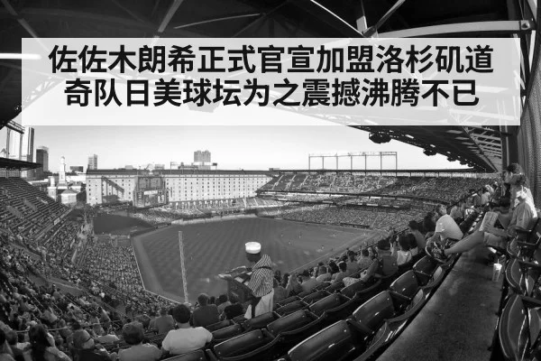baseball stadium crowd